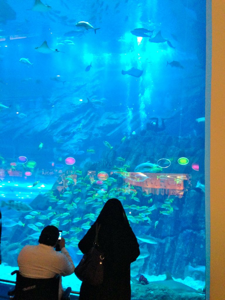 DubaiMallAquarium