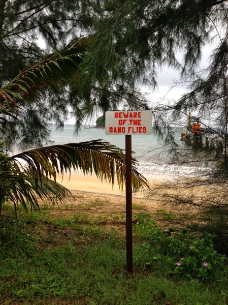 bewareofsandflies