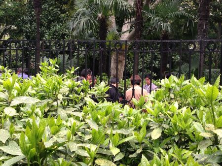 illegalgamblershiding