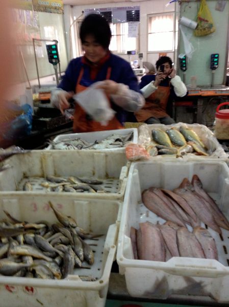 peopletakingpicturesofpeopletakingpictures