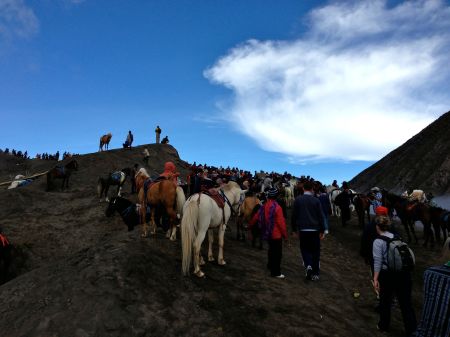bromo3