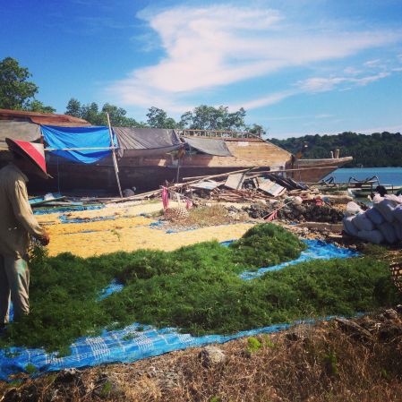 Seaweeddrying